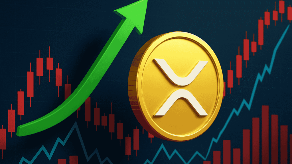XRP Bounces